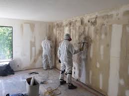 Best Real Estate Mold Inspection  in USA